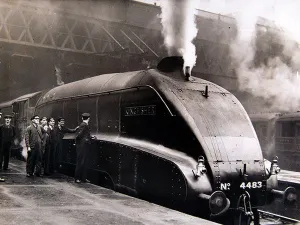 Streamlined steam (Print 2299248)